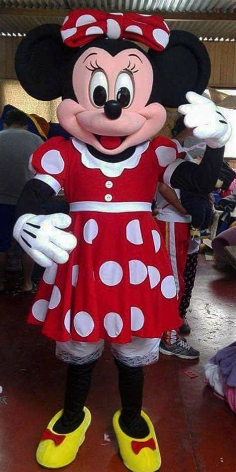 Pin by Courtney Patterson on Día de la niñez 2021 IRENE in 2021 | Mickey mouse costume, Cartoon ...