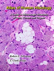 Histology Guide - virtual microscopy laboratory