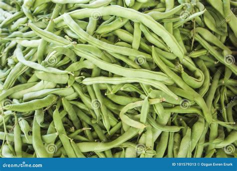 Kidney bean plant stock image. Image of agriculture - 101579313