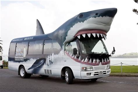 Shark bus! | Weird cars, Shark, Sharks funny