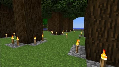 How to Grow Dark Oak Trees in Minecraft - The Best T-Shirt Trends for ...