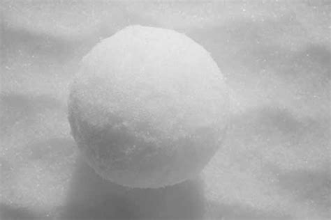 Snowball Sampling: Definition, Advantages and Disdvantages - Statistics How To