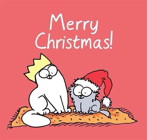 Pin by Kimberly Lucas on Cats...more cats! | Simons cat, Christmas cats ...