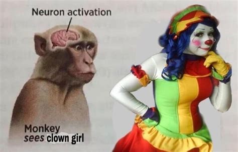 Monkey Sees Clown Girl | Monkey Sees Action / Neuron Activation | Know ...