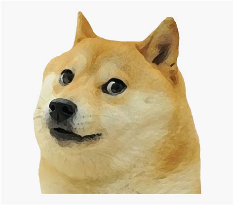 Doge Meme Png Photo - Shiba Inu Meme Png, Transparent Png , Transparent ...