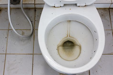 Why You Have Low Water Levels In Your Toilet Bowl!