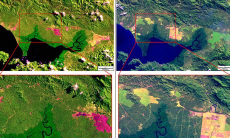 Papua New Guinea deforestation at critical level - The Watchers