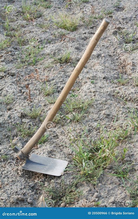 Hoe, a garden tool stock photo. Image of gardening, agricultural - 20500966