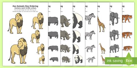 Zoo Animals Size Ordering English/German (teacher made)