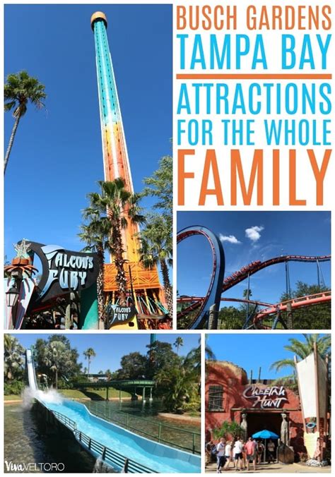 Busch Gardens Tampa - Rides and Attractions for the Whole Family