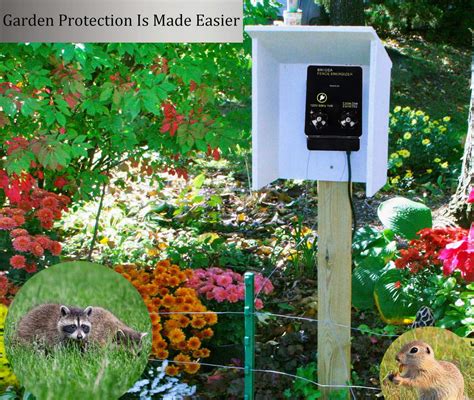 Top 10 Best Electric Fence Chargers in 2024 Reviews | Buyer's Guide