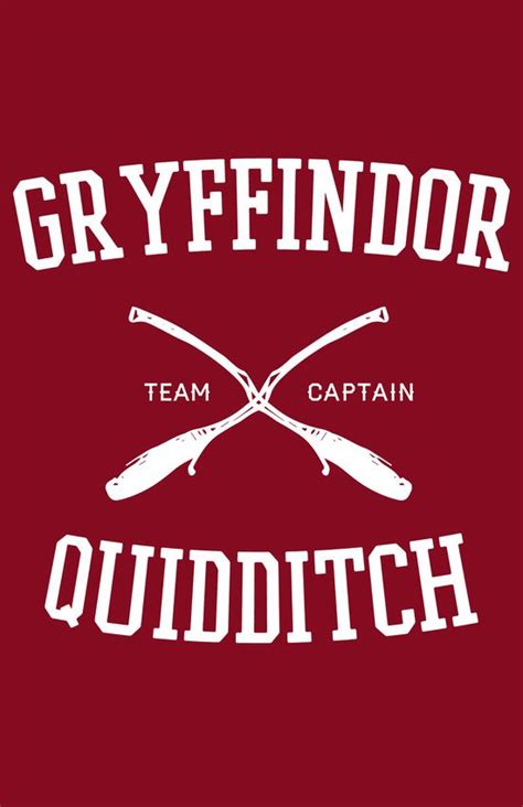 Gryffindor Quidditch | Hogwarts quidditch, Gryffindor, Quidditch