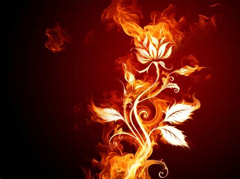 Fire Flower Wallpapers - Wallpaper Cave