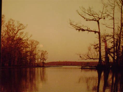 Louisiana Swamp Tours: Louisiana Swamp Photography Safari