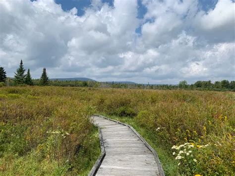 Best Hikes and Trails in Canaan Valley National Wildlife Refuge | AllTrails