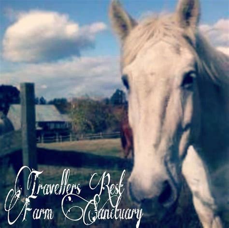 TRAVELLERS REST FARM SANCTUARY volunteer opportunities | VolunteerMatch