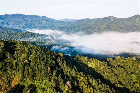 探访海南热带雨林国家公园（组图）_图片_中国小康网