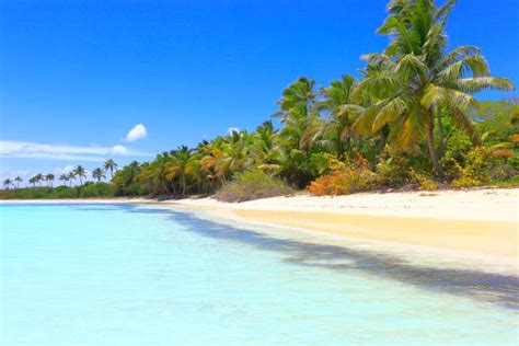 Free desert island Images, Pictures, and Royalty-Free Stock Photos - FreeImages.com