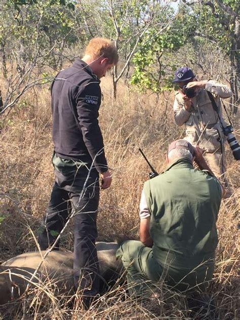 My Week in Malawi with African Parks and Prince Harry | Endangered ...