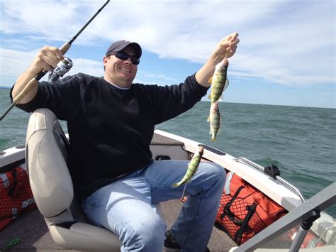 Great perch fishing on Lake Erie! - Lake Erie Buffalo NY Fishing Charters