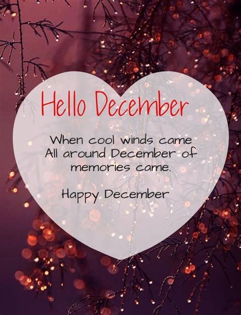 Happy December Quotes - ShortQuotes.cc