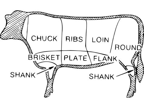 Diagram Of Beef Cuts Of Meat