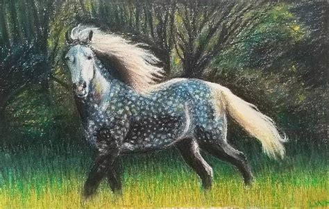 Dapple Grey Horse Drawing by Leah Howard - Pixels