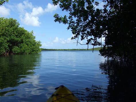 Bio bay Laguna Grande glows at night! (Fajardo, Puerto Rico ...