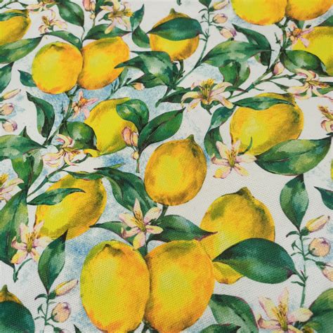 Lemon Print Fabric Vintage Upholstery Lime Fabric Curtain | Etsy