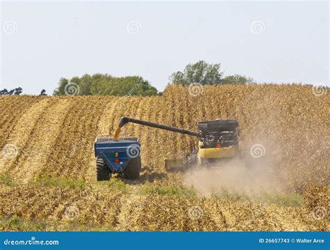 Cornfields van Iowa stock afbeelding. Image of groei - 26657743