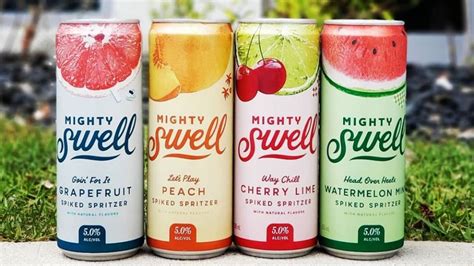 Spiked Seltzer Brands, Ranked Worst To Best