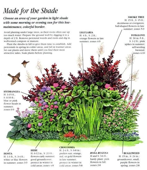 Winter Plants Zone 5 - Garden Plant