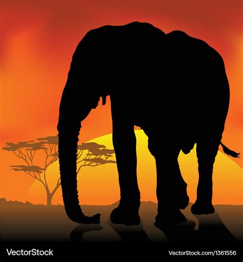 Elephant silhouette sunset Royalty Free Vector Image