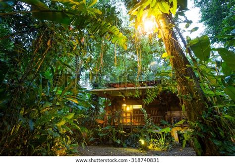 Costa Rica Eco Lodge Rainforest Puerto Stock Photo (Edit Now) 318740831