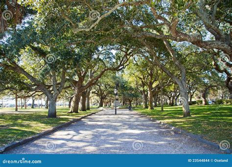 Battery Park - Charleston stock photo. Image of lined - 23544844