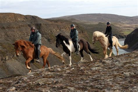 14 best places to ride and experience horses around the world | CNN