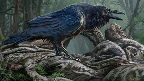 Download Hd Raven Computer Wallpaper Id - Dan Burr Illustrator ...