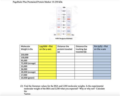 Solved PageRuler Plus Prestained Protein Marker 10−250kDa | Chegg.com