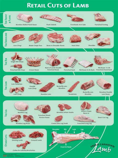 Lamb Cuts Poster-11X17 | PDF | Lamb And Mutton | Steak