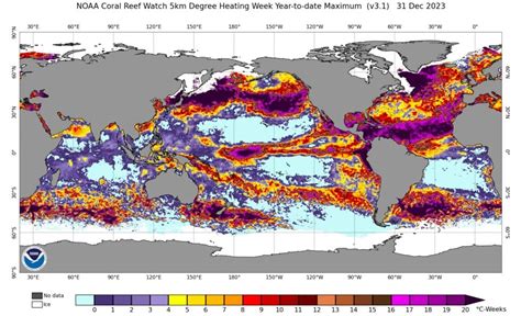 2023 record marine heat waves: Coral Bleaching HotSpot maps reveal global sea surface ...