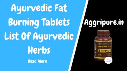 [Best] Ayurvedic Fat Burning Tablets | 9 Important Ayurvedic Herbs - Aggripure