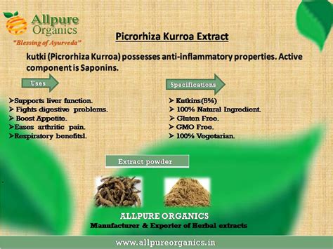 Picrorhiza kurroa Extract,Picrorhiza kurroa Extract powder, Picrorhiza kurroa Extract manufacturer.