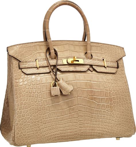 Hermes Birkin Alligator Bag | Literacy Basics