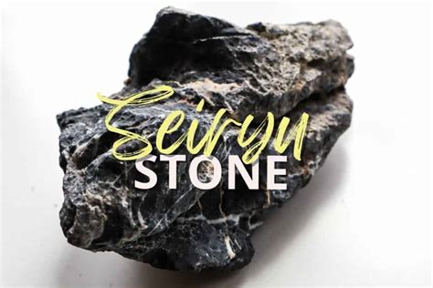 The Complete Seiryu Stone Hardscape Guide (Varieties & Uses)