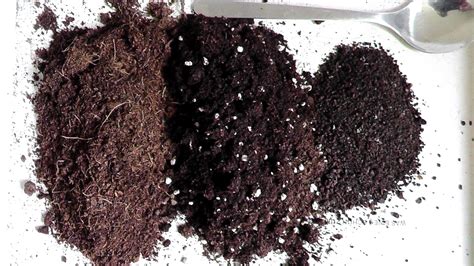 How To Make Your Own Potting Soil & Growing Mix… – Eco Snippets