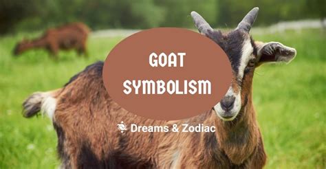 Goat Symbolism: What Does A Goat Symbolize? - Dreams & Zodiac