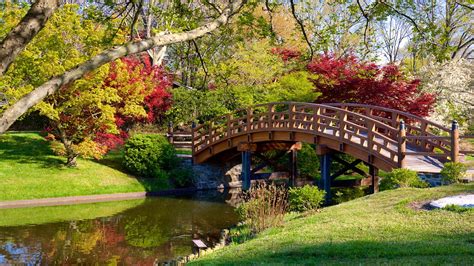 Missouri Botanical Gardens and Arboretum in St. Louis, Missouri | Expedia