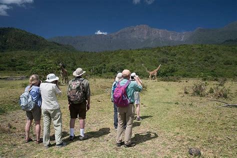 Day Trip Tour To Arusha National Park: Triphobo