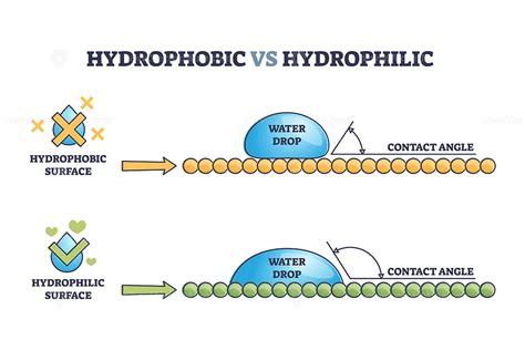 Hydrophobic vs hydrophilic surface effect on water drop outline diagram ...