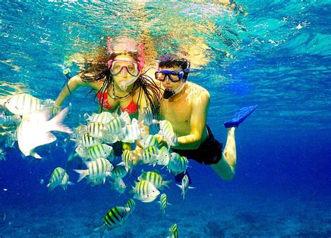 Club Med Punta Cana: The Perfect Destination For Snorkeling Enthusiasts ...